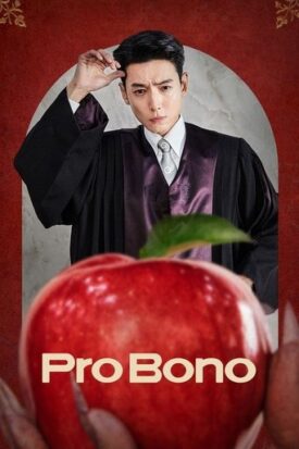 پوستر رسمی سریال Pro Bono (2025)